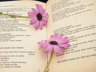 什么才是真正的男人经典语录文案 何为男人经典语录文案