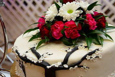 男生向女生表白情话文案大全 男生对女生表白的情话文案