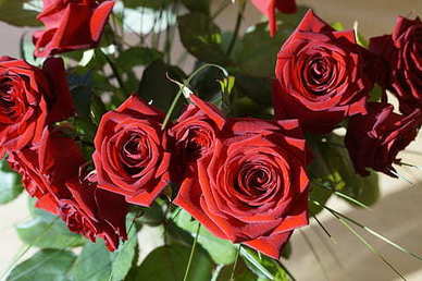 晚安小情话文案 20句最肉麻的晚安情话文案