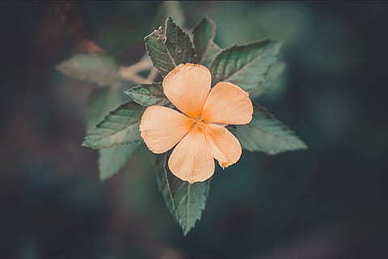 晚上比较撩的话 大晚上说什么最撩男生？