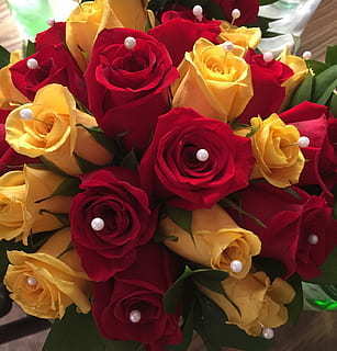 想念的句子文案牵挂一个人 想念的句子文案牵挂一个人