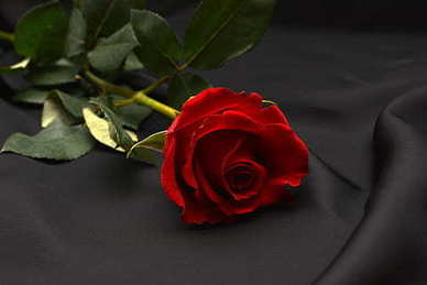 表达思念的段落 关于思念的好段落