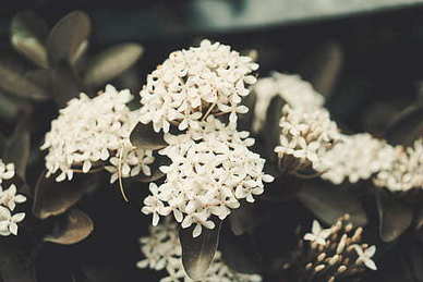 简短的浪漫唯美的句子文案