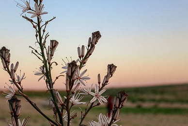 女人有脾气的经典语录文案 人都有脾气经典语录文案