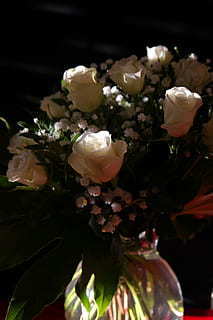 失恋放下的经典句子文案 失恋的经典语句