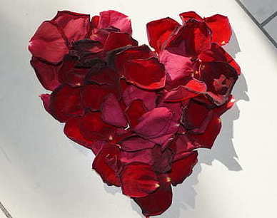 很甜很甜的爱情句子文案 很甜的爱情短句