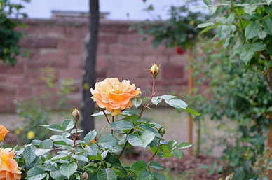 赞美老公做饭的句子文案简单 晒老公做饭的经典语句