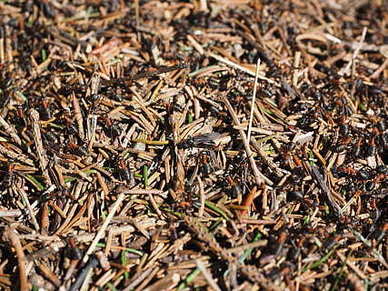 早安励志女人经典语录文案 早安励志语录文案正能量女人篇比较有斗志的