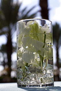 情感语录文案大全情感语录文案精选 情感语录文案经典语录文案