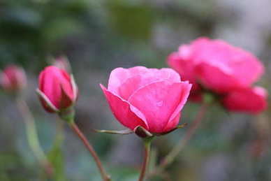 关心一个人的话情话 很暖心关心人的句子文案