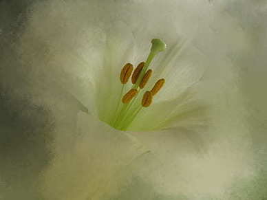 思念深爱的人唯美句子文案 描写思念爱人的唯美句子文案