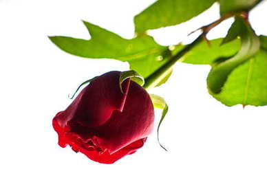 8个字美到心痛的句子文案 美到心痛的句子文案 情感