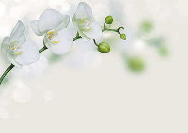 早上怎么给喜欢的人发早安心语 早上起床对喜欢的人怎么问候