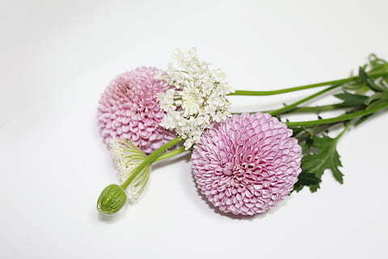 遇见是一种缘分的句子文案 遇见就是缘分的句子文案