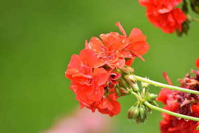 鼓励朋友的暖心句子文案 鼓励朋友的话语 暖心