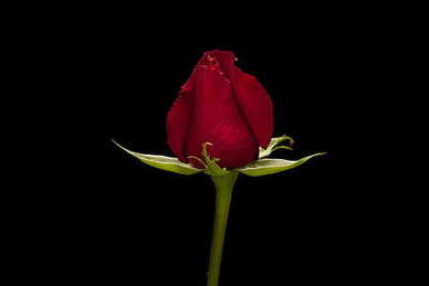 夏天恋爱唯美句子文案 夏天的爱情句子文案