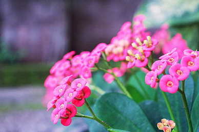 超可爱的文案 有哪些可爱到爆的文案?