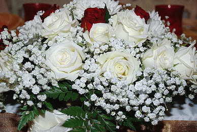 文案短句温柔治愈 英语短句文案温柔治愈