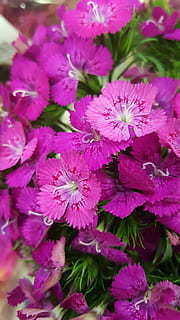 七个月恋爱情话文案简短 恋爱从七月开始十月结束的情话文案