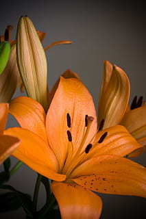 和女朋友分手了对她说的话 要和女朋友分手了对她说的暖心的话