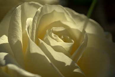 晚上的情话文案最暖心短句 给女朋友晚安情话文案最暖心短句