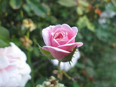 分手之后想挽留的句子文案 分手后想挽留的话