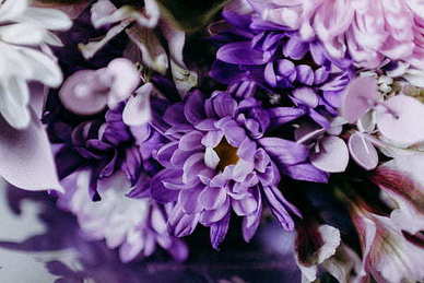 祝福结婚说说幸福的句子文案 祝结婚幸福的唯美句子文案