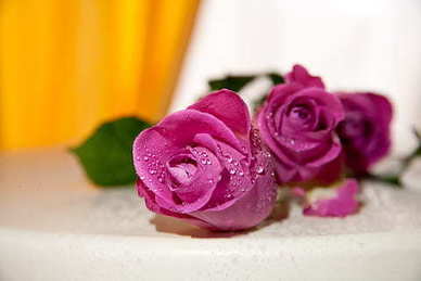 爱情深度唯美句子文案 关于爱情的唯美句子文案