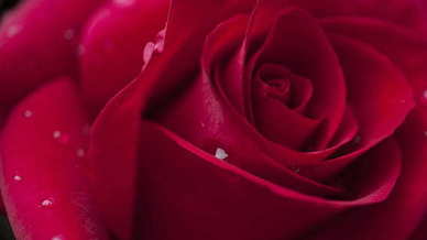 夜里想念情人煽情的话 思念爱人的句子文案深夜