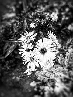 温柔的话语暖心短句 关于温柔的暖心句子文案