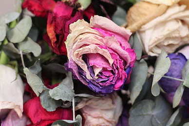 又甜又撩的短句八个字古风 很甜很撩的古风句子文案简短