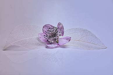 爱到骨子里的情话 爱到骨子里的句子文案