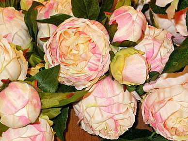 撩姐姐的套路句子文案 逗姐姐开心的句子文案