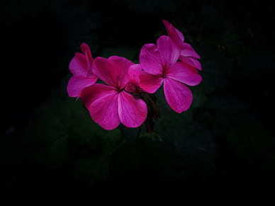 早上给情人幽默的问候 早上送给情人的问候语