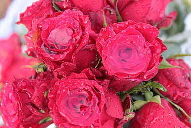 爱情败给现实经典语录 没钱不配拥有爱情的句子文案