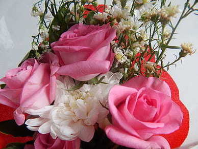 感情专一的唯美句子文案 关于爱情专一的唯美句子文案