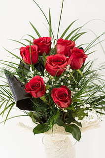 珍惜缘分的诗句文案古诗词 关于缘分诗句文案大全