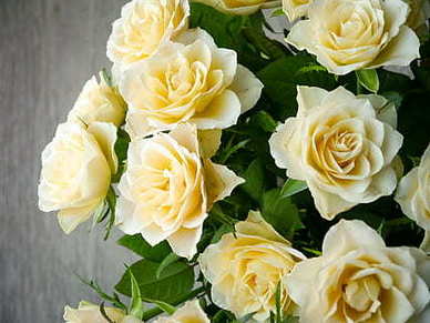 写给男朋友最暖的情话文案 说给男朋友的情话文案