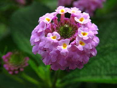 女人最好的状态语录短句 女人保持好心态的句子文案有哪些？