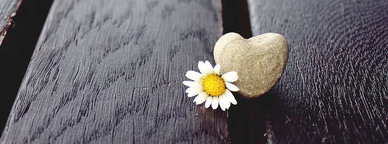 爱情暖心句子文案10字以内 爱情短句子文案十字以内