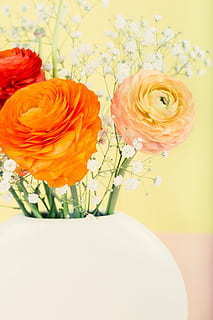 对奶奶的情感的句子文案 对奶奶的思念简短句