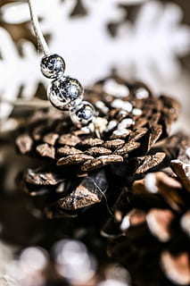 描写思念亲人的优美段落