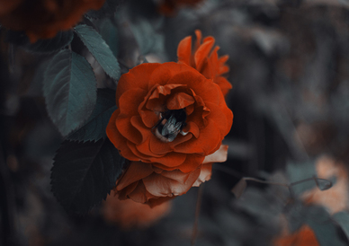 天气热关心老公的话 天热了关心老公的话