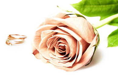 表白经典短句 经典表白语句文案