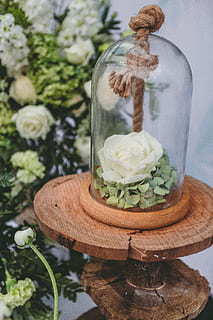 撩人晚安情话文案最暖心短句 情侣晚安情话文案最暖心短句