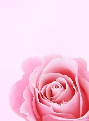 又甜又撩的短句八个字 浪漫的8个字爱情短句