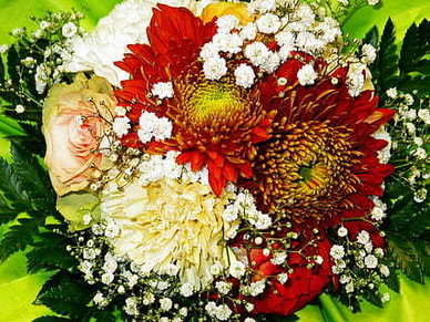 优雅的情话短句 情话励志唯美句子文案