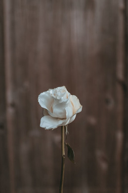 现实感情扎心语录文案长篇 现实感情扎心语录文案注意身体?