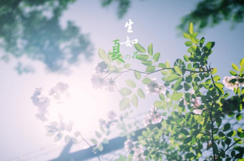 朋友圈文案丧一点