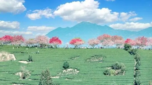 适合晚上发的文案